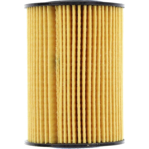 Ryco R2593P Oil Filter - High Efficiency Engine Protection Engine Oil Filter Ryco    - Micks Gone Bush